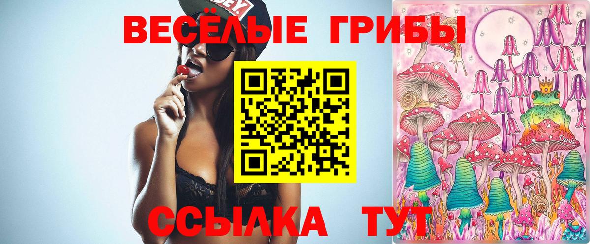 Псилоцибиновые грибы Psilocybe Волжский