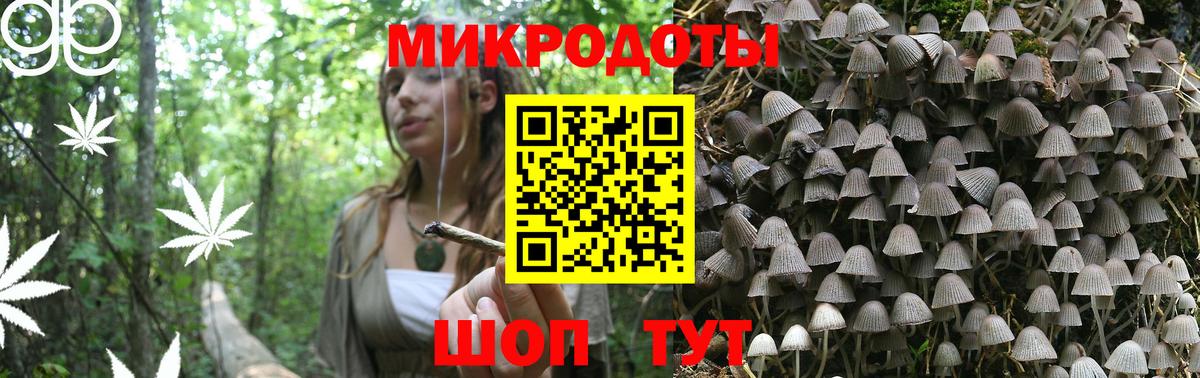Галлюциногенные грибы прущие грибы  Галлюциногенные грибы мицелий  Волжский  Вход с VPN 